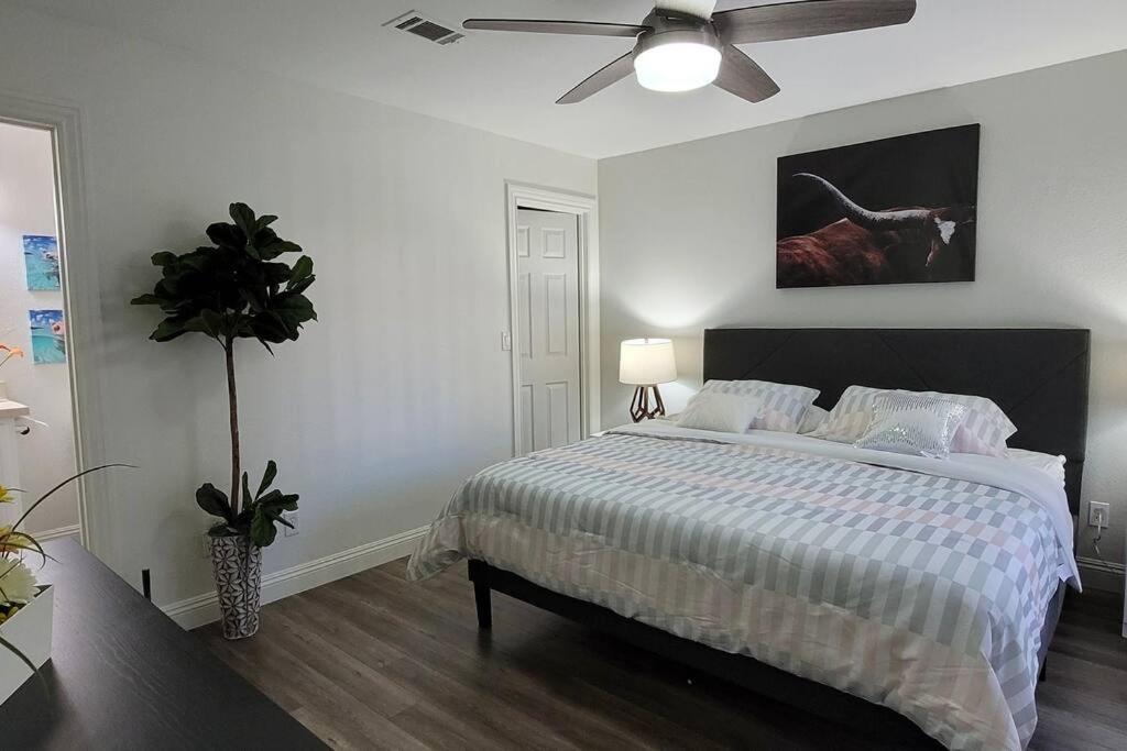 L - Fully Remodeled And Professionally Decorated لاس فيغاس المظهر الخارجي الصورة